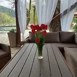 Atrium Apartment