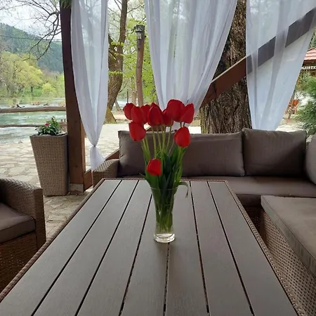Atrium Apartment